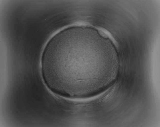 X0000093141335200710031403