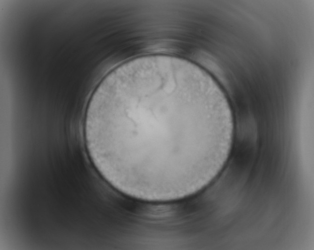 X0000093141338200710031403