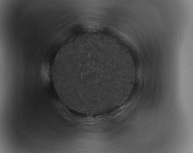 X0000093141346200710031402