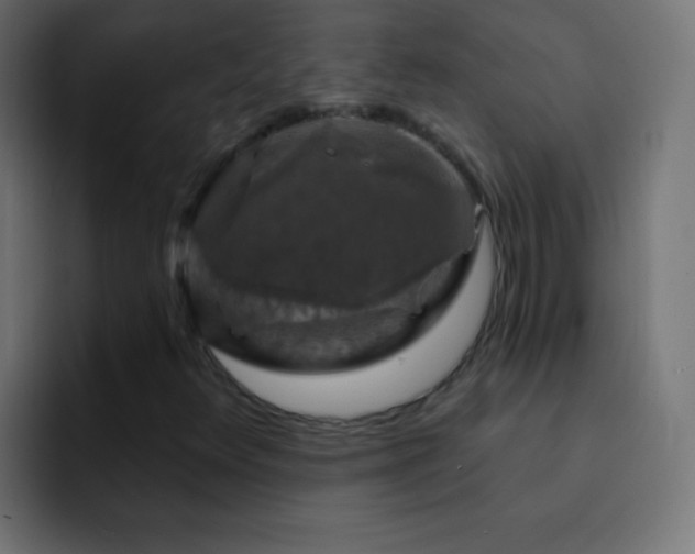 X0000093141348200710031402