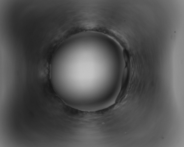 X0000093141349200710031402