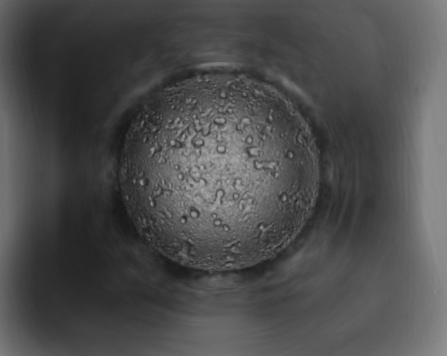X0000093141351200710031402