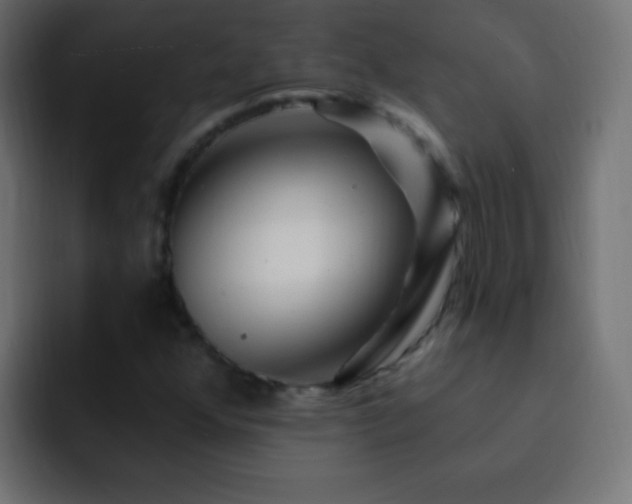 X0000093141352200710031402