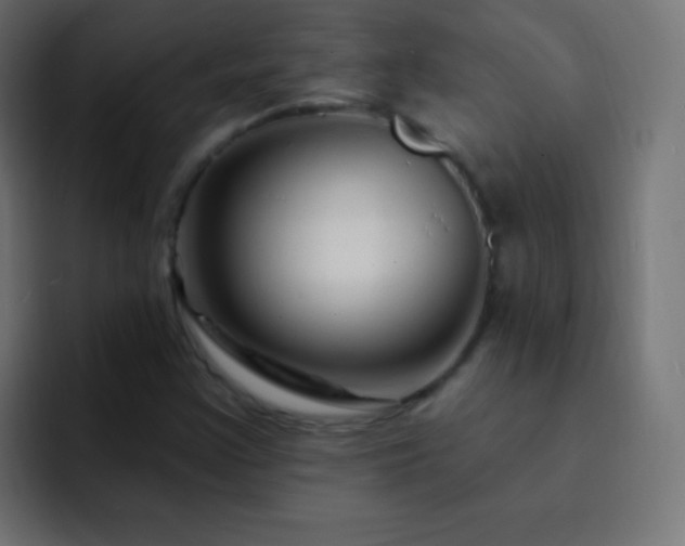 X0000093141355200710031402