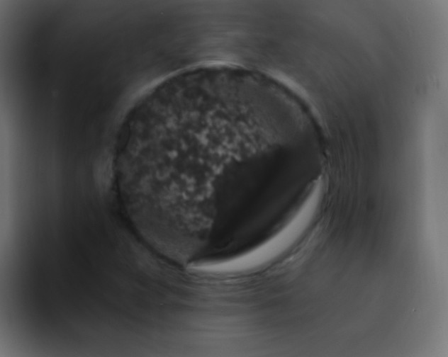 X0000093141359200710031402