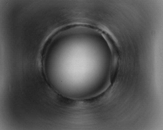 X0000093141360200710031402