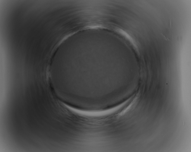 X0000093141361200710031402