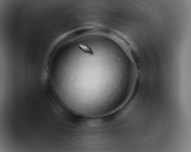X0000093141363200710031402