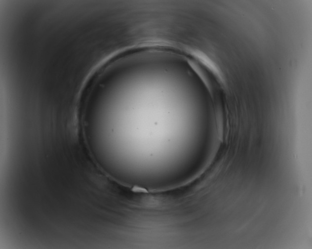 X0000093141364200710031402