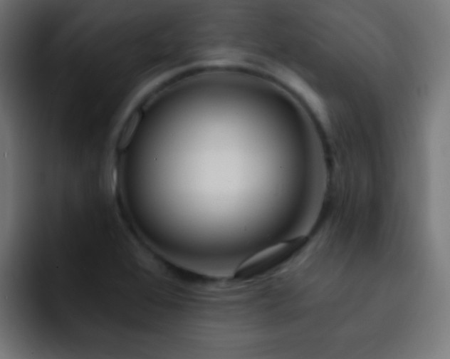 X0000093141368200710031402