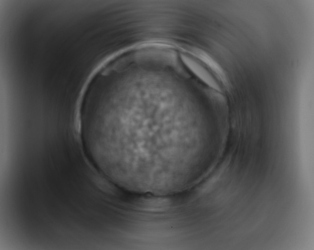 X0000093141372200710031402