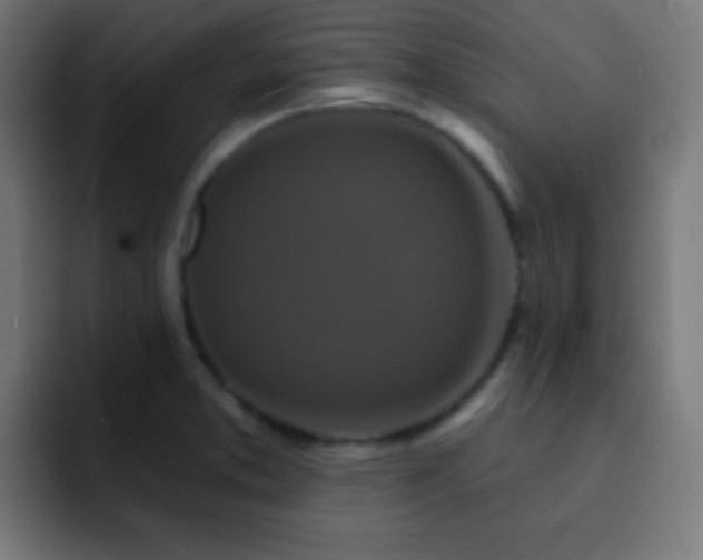 X0000093141373200710031402