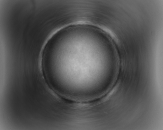 X0000093141374200710031402