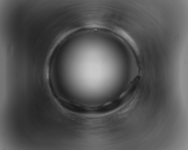X0000093141376200710031402