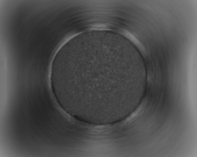 X0000093141378200710031402