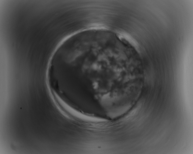 X0000093141383200710031402