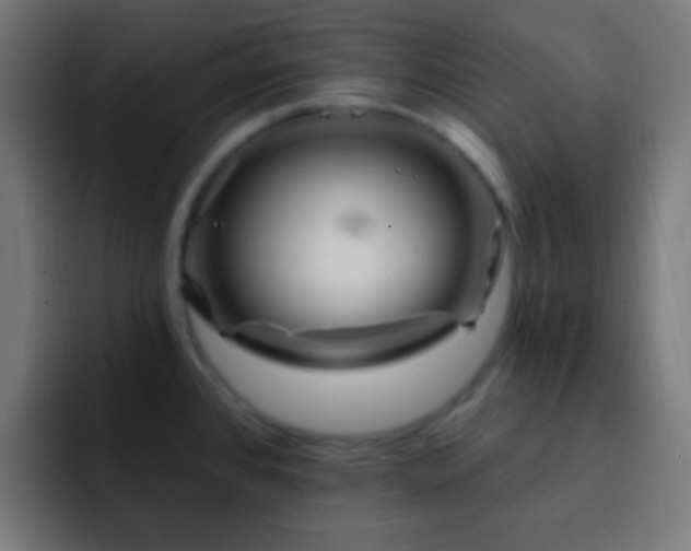 X0000093141384200710031402