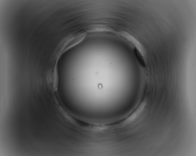 X0000093141385200710031402