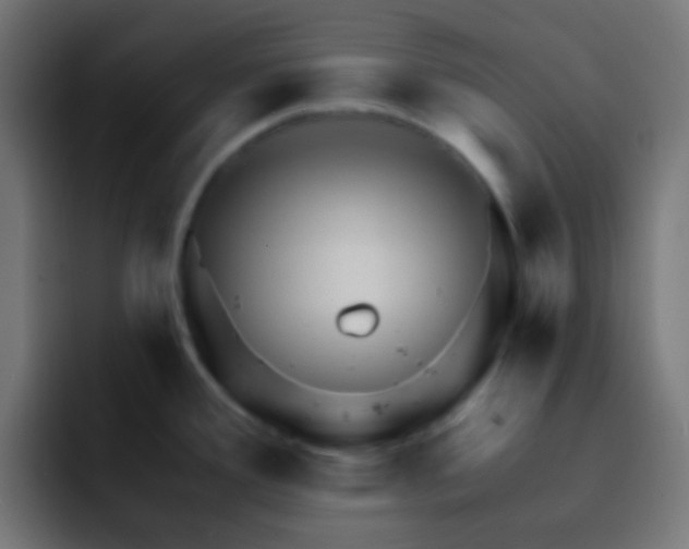 X0000093141388200710031402