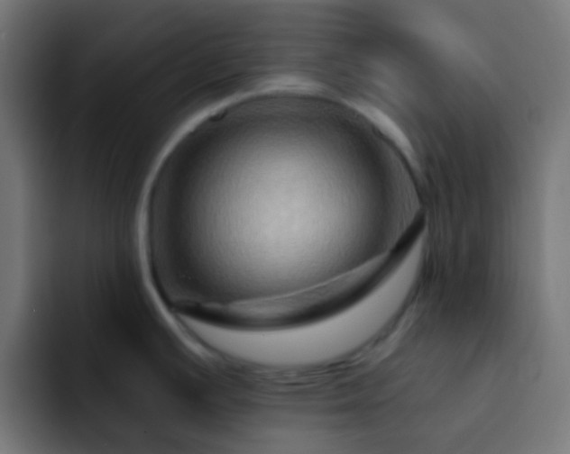 X0000093141391200710031402
