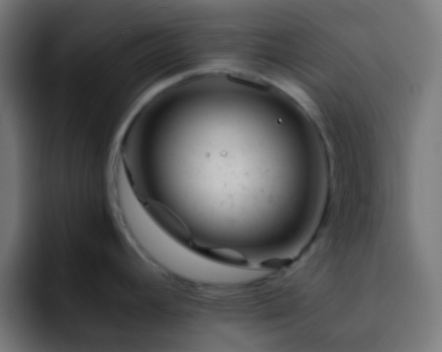 X0000093141392200710031402