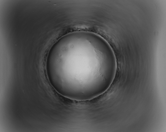 X0000093141393200710031401