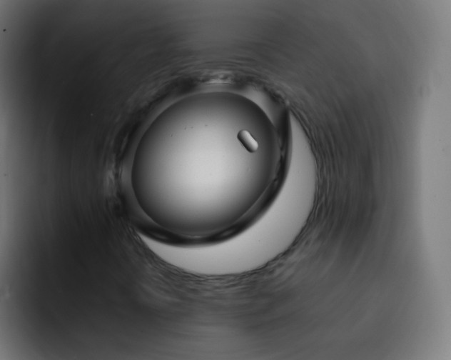 X0000093141394200710031401