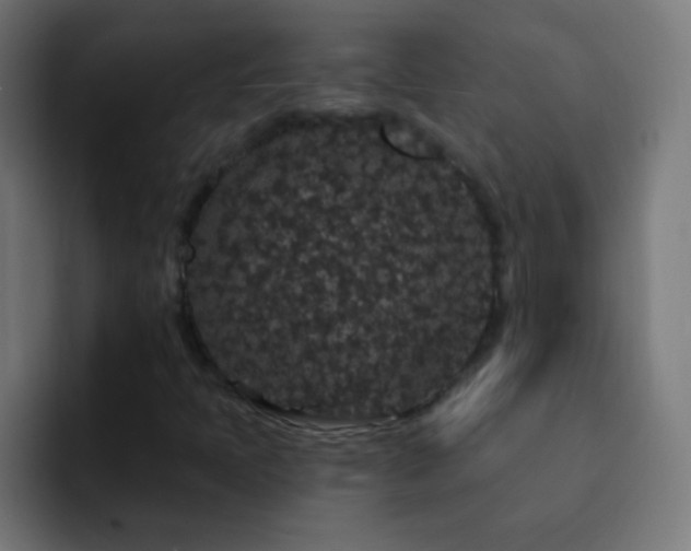 X0000093141397200710031401