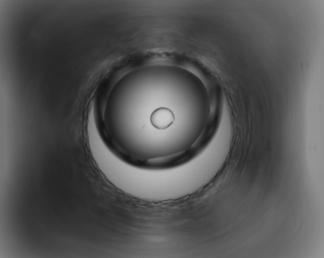 X0000093141398200710031401