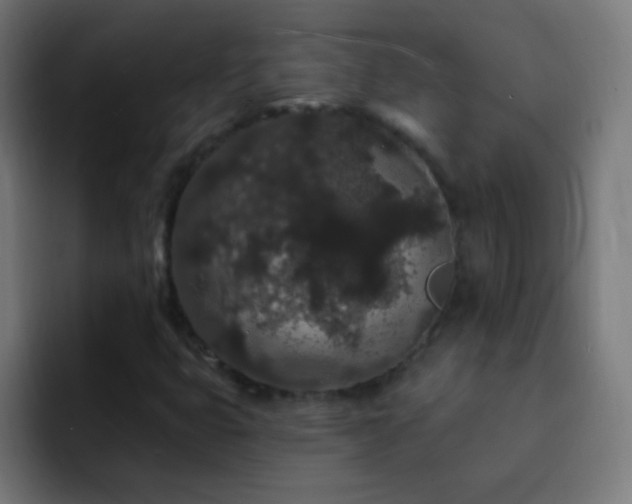 X0000093141399200710031401