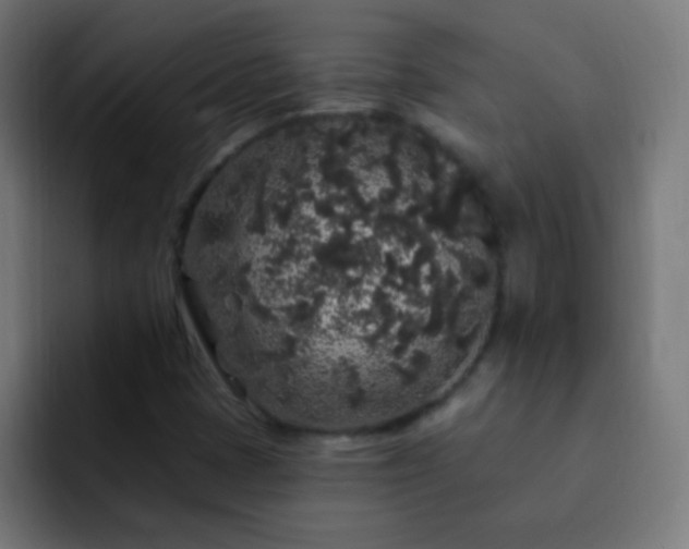 X0000093141401200710031401