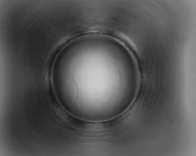 X0000093141403200710031401