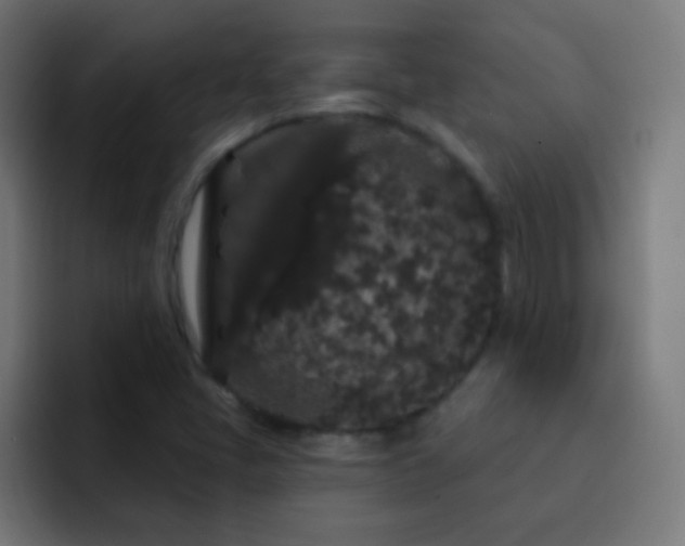 X0000093141405200710031401