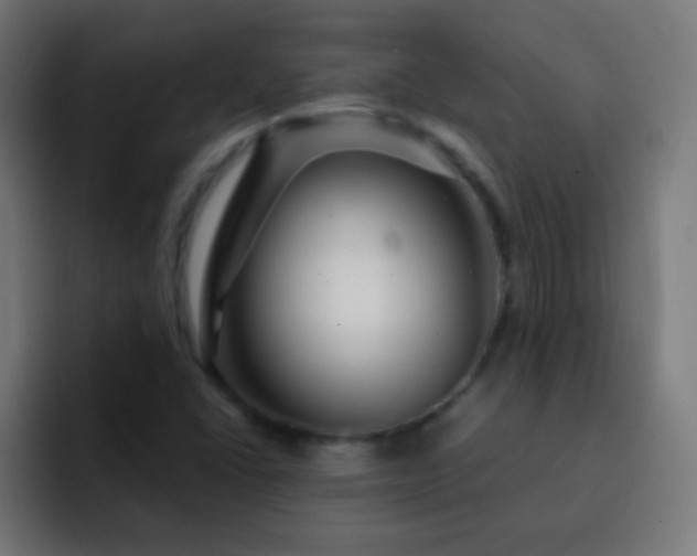 X0000093141406200710031402