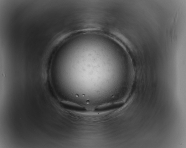X0000093141407200710031402
