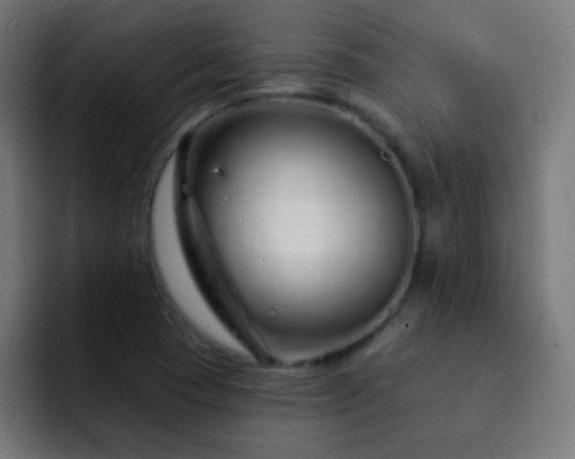 X0000093141409200710031402