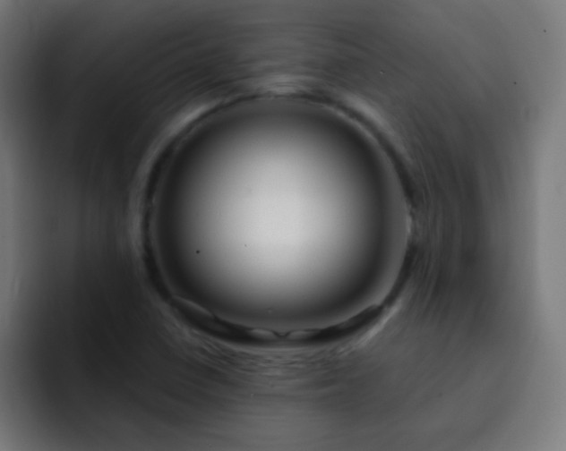 X0000093141410200710031402