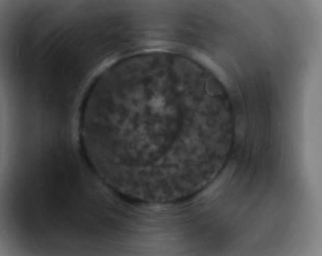 X0000093141411200710031402