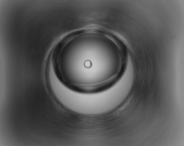 X0000093141414200710031402
