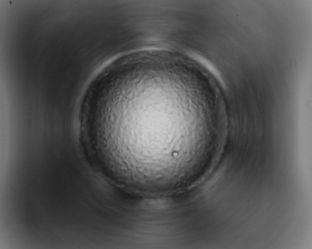 X0000093141415200710031402