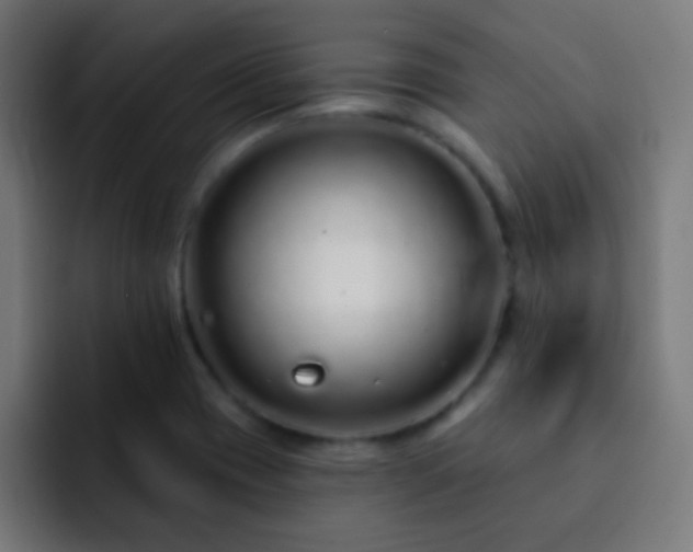 X0000093141417200710031402