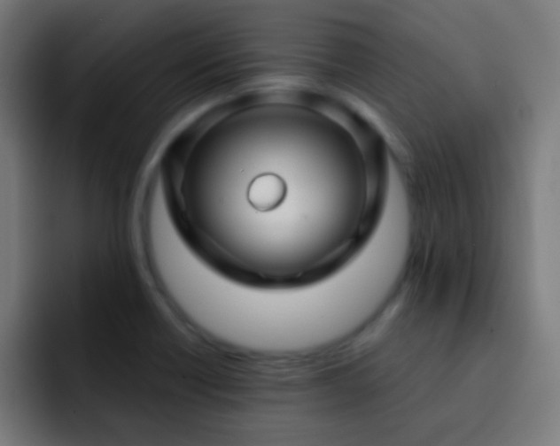 X0000093141418200710031402