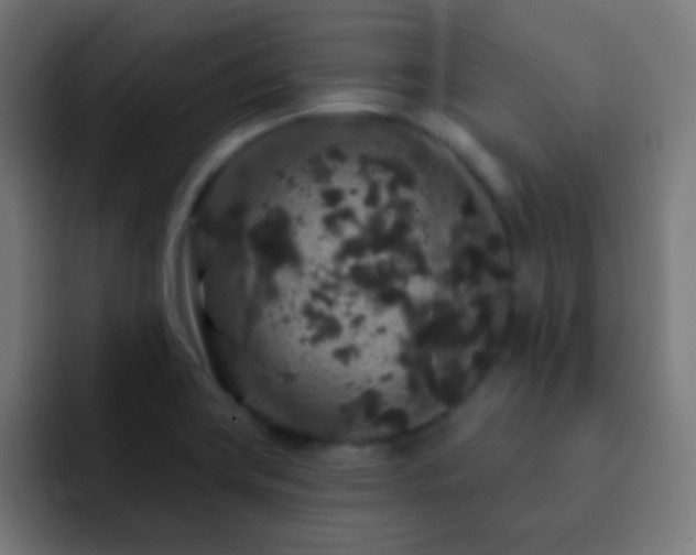 X0000093141419200710031402