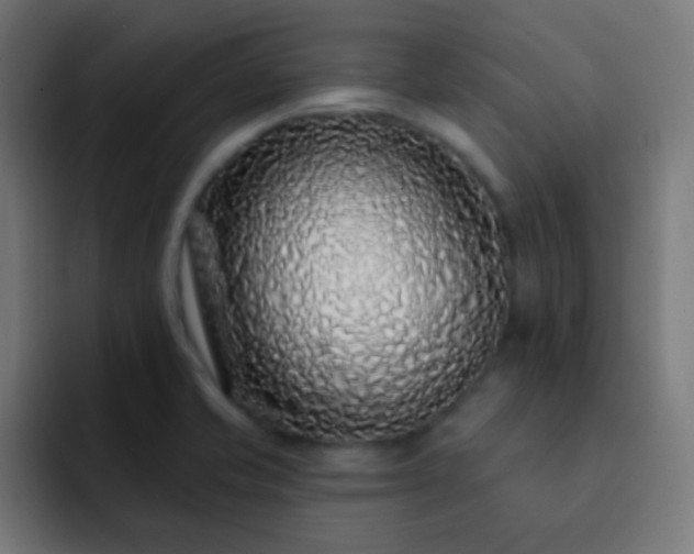 X0000093141421200710031402