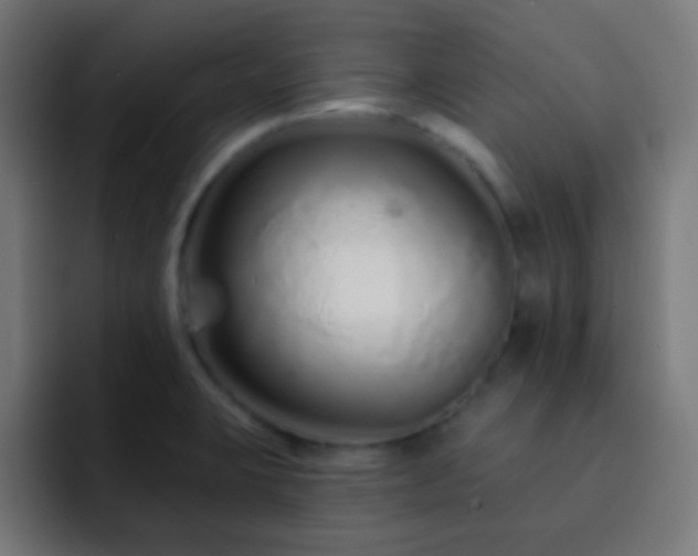 X0000093141423200710031402