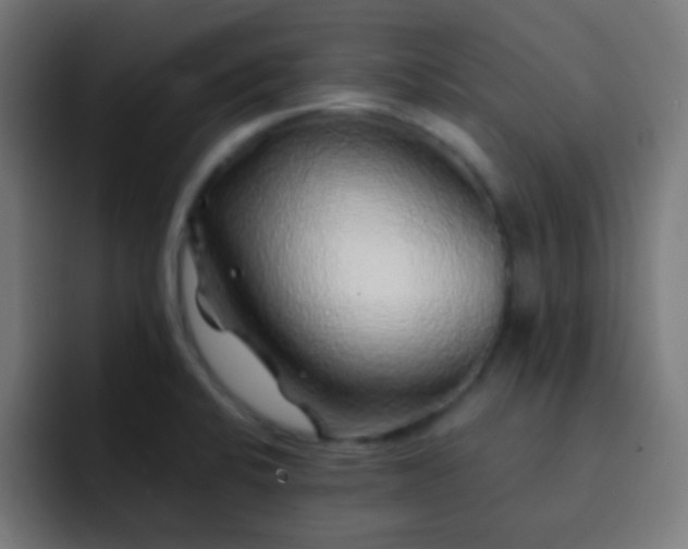 X0000093141424200710031402