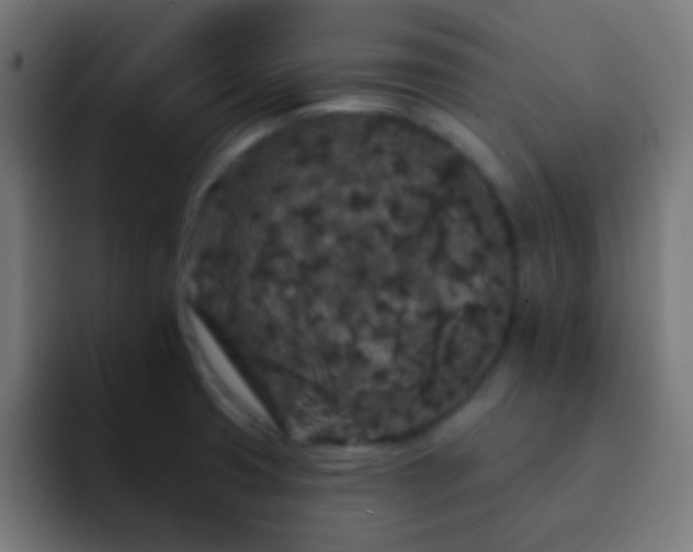 X0000093141425200710031402