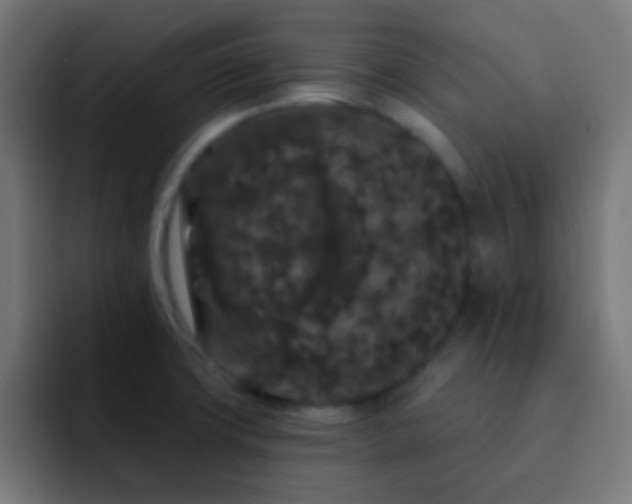 X0000093141427200710031402