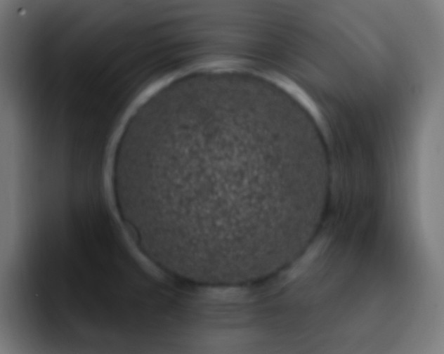 X0000093141429200710031402