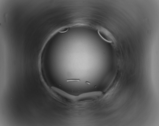X0000093141431200710031402
